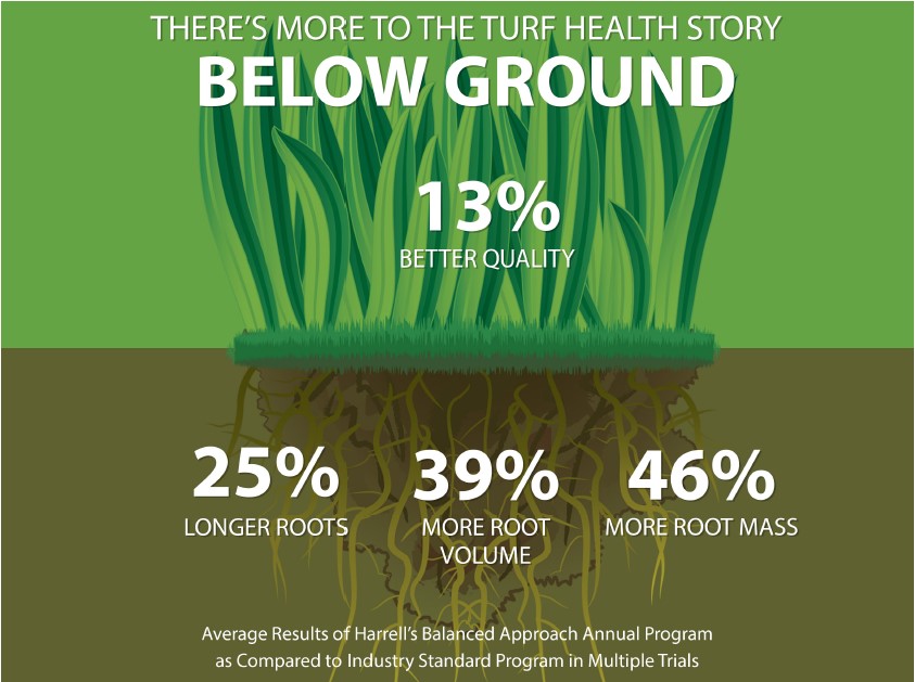Building a Customized Warm-Season Fungicide Program